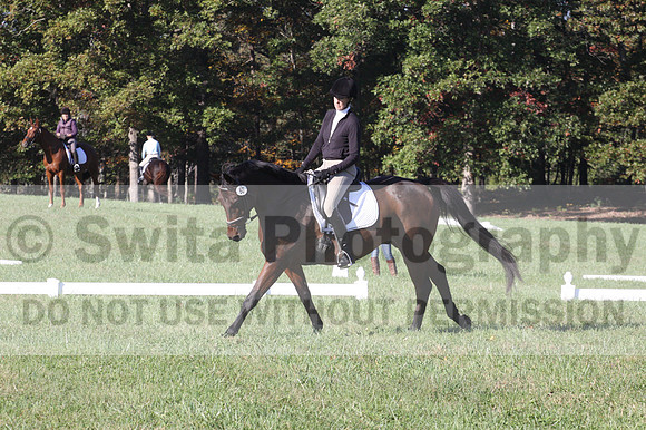 Margo Hardy on Soling's Hat Trick, Novice Horse Trials Senior B