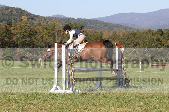 Elizabeth Davis on Freedom's Stormy Night, Beginner Novice Horse Trials Junior B