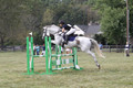 Abigail Winfree on Armani IV, JOT