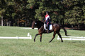 Shannon Daily on Pitt Maneuver, Novice Horse Trials Senior B