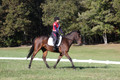 Shannon Daily on Pitt Maneuver, Novice Horse Trials Senior B