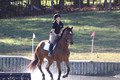 Abby Loving on Royal Filigree, Advanced Green Horse Trials Senior A