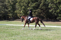 Emily Kagey on Flicka, Beginner Novice Horse Trials Junior A