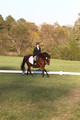 Paula McConnell on Summers Lilac, Dressage Only: Beginner Novice A