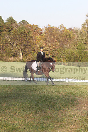 Paula McConnell on Summers Lilac, Dressage Only: Beginner Novice A