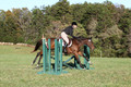 Kathleen Pimblett on Royal Grace, Green Horse Trials