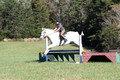 Violet Cross on Elpin Odin, Beginner Novice Horse Trials Junior B