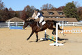 Erica Jones on Bingo, Advanced Green Horse Trials Senior A