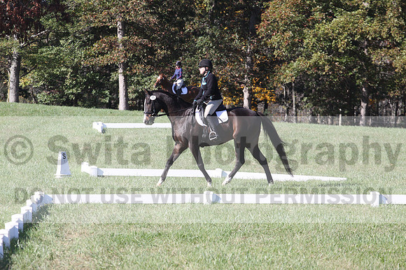 Mimi Combs on Aristocrat, Beginner Novice Horse Trials Senior A