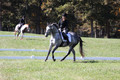 Michele Gnozzio on Dazzling, Beginner Novice Horse Trials Senior C