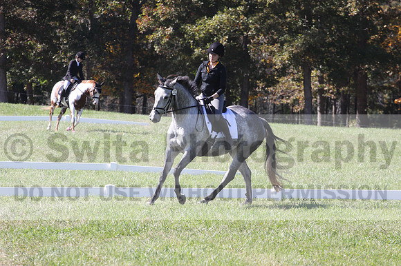 Michele Gnozzio on Dazzling, Beginner Novice Horse Trials Senior C