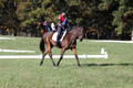Shannon Daily on Pitt Maneuver, Novice Horse Trials Senior B