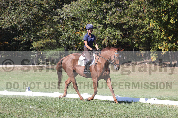 Gabby Dickerson on Congarazzi, Beginner Novice Horse Trials Senior A