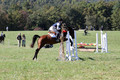 Elizabeth Davis on Freedom's Stormy Night, Beginner Novice Horse Trials Junior B