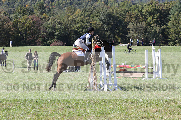 Elizabeth Davis on Freedom's Stormy Night, Beginner Novice Horse Trials Junior B