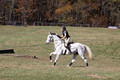 Tori Nuckols on Grey Dragon, Beginner Novice Horse Trials Senior A
