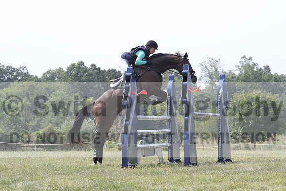 Nita Sanfillippo on Alarmabull, OI