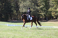 Emily Kagey on Flicka, Beginner Novice Horse Trials Junior A