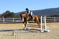 Elizabeth Brown on Adagio, Advanced Green Horse Trials Senior A