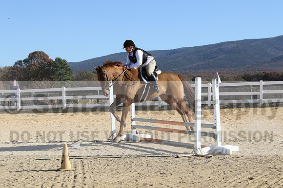Elizabeth Brown on Adagio, Advanced Green Horse Trials Senior A