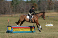 Emily Beshear on My Combination, Novice Horse Trials Senior