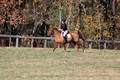Theresa Thompson on Rated PG, Novice Horse Trials Senior