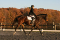 Thea Miller on Something Glamorous, Dressage Only: Training Level, Test 3
