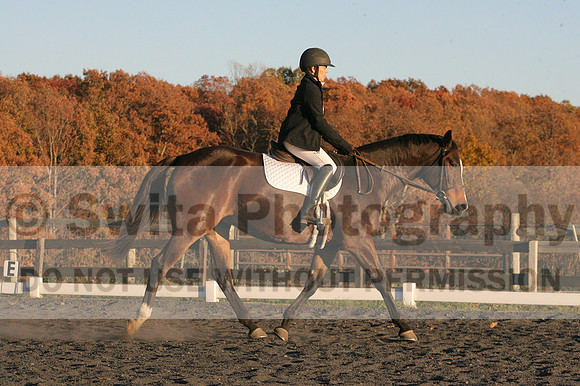 Thea Miller on Something Glamorous, Dressage Only: Training Level, Test 3