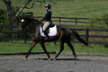Jenny Rosner on Evita K, Advanced Green HT Senior