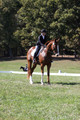 Amy Parsons on Wren Wrouge, Advanced Green Horse Trials A