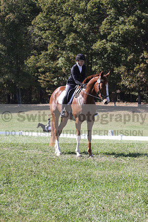 Amy Parsons on Wren Wrouge, Advanced Green Horse Trials A
