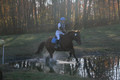 Kylie Oseguera on Boss Man, Advanced Green Horse Trials Junior B