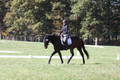 Brooke Bayley on Unbroken, Beginner Novice Horse Trials Senior A
