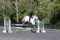Liz Riley on Ice Storm, Novice HT