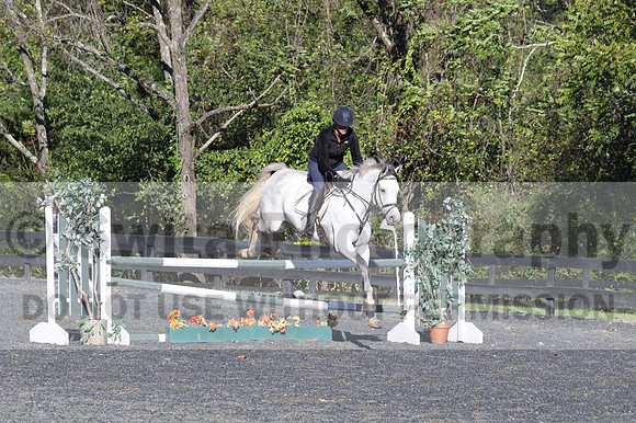 Liz Riley on Ice Storm, Novice HT