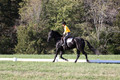 Madlen Lesesne on SBF Figaro, Advanced Green Horse Trials B
