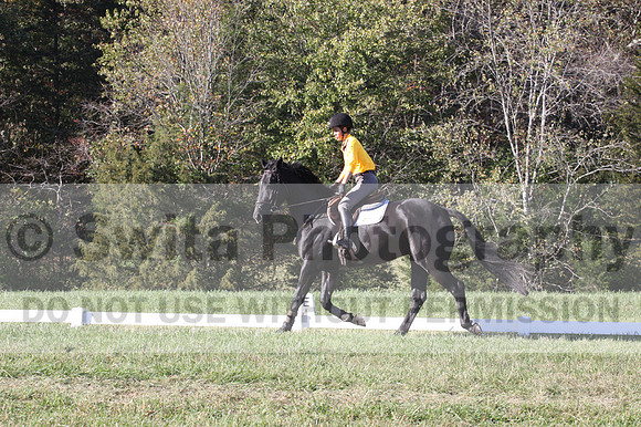 Madlen Lesesne on SBF Figaro, Advanced Green Horse Trials B