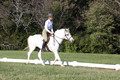 Jeanne Jeffer on Snowball's Chance, Green Horse Trials