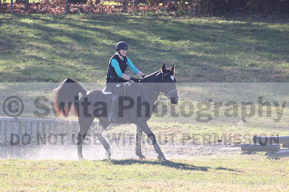 Alexis Owens on Shirefox Cadence, Advanced Green Horse Trials Junior A