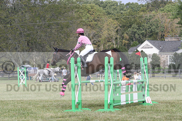 Charlotte Collier on Clifford M