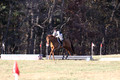 Elizabeth Brown on Adagio, Advanced Green Horse Trials Senior A