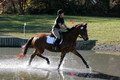 Abby Loving on Royal Filigree, Advanced Green Horse Trials Senior A