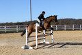 Emily Beshear on My Combination, Novice Horse Trials Senior