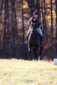 Amy Kryder on Rhianna, Beginner Novice Horse Trials Senior C