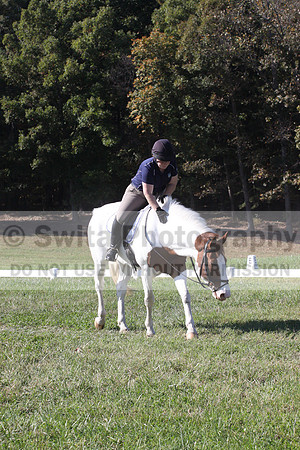 Elizabeth Schooley on Pearl, Advanced Green Horse Trials A