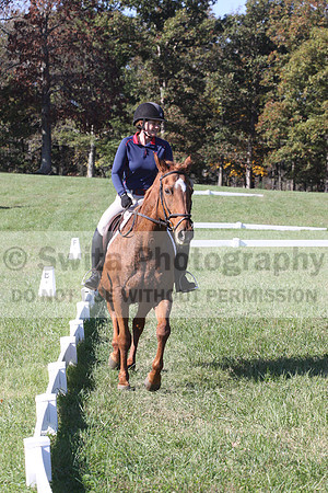Corrine Woods on Amber, Beginner Novice Horse Trials Senior A