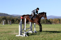 Carol Brickey on Throwing Stones, Advanced Green Horse Trials B