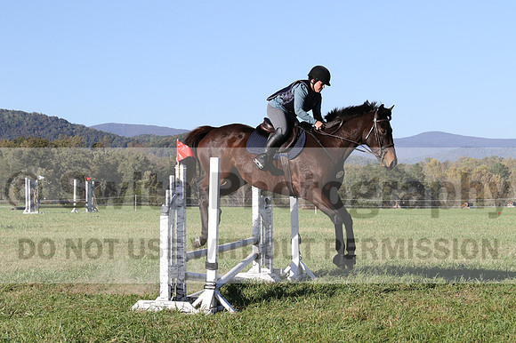 Carol Brickey on Throwing Stones, Advanced Green Horse Trials B