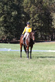 Emily Digney on American Airman, Beginner Novice Horse Trials Senior B