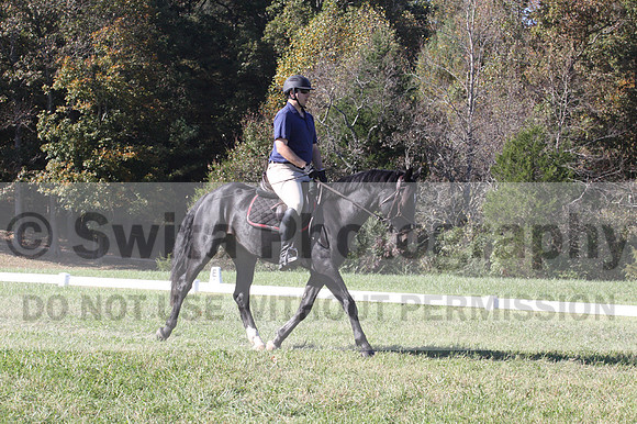 Paul Pinner on MLC Irish Rapture, Advanced Green Horse Trials A